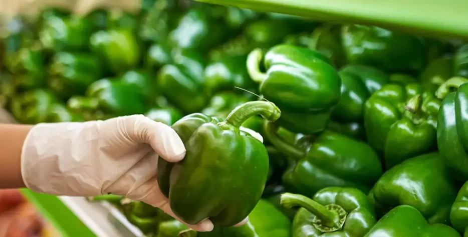 Organic farms avoid toxic inputs, improve soil health, grow clean, sustainable food that supports nature.