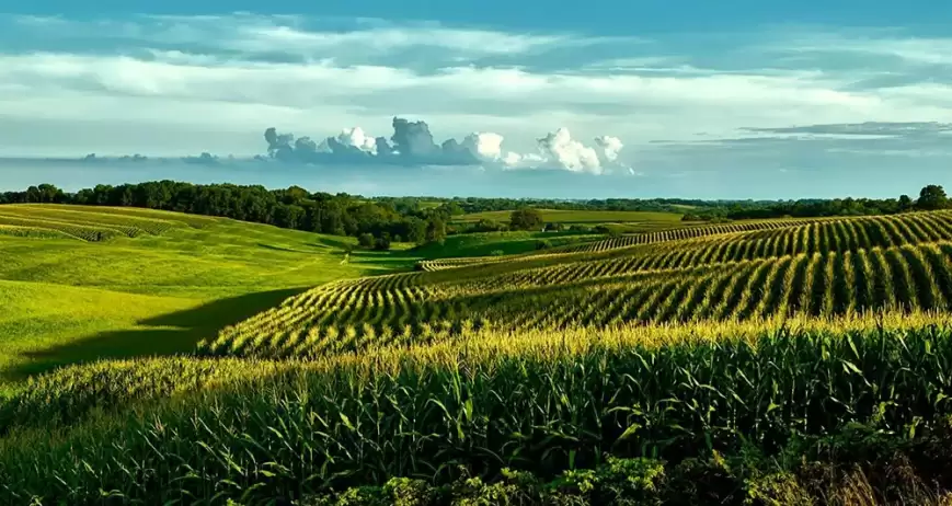 We grow fresh, organic produce using clean methods that protect nature, healthy food.
