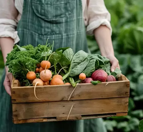 Empowering local growers to harvest healthy produce and promote a sustainable future.